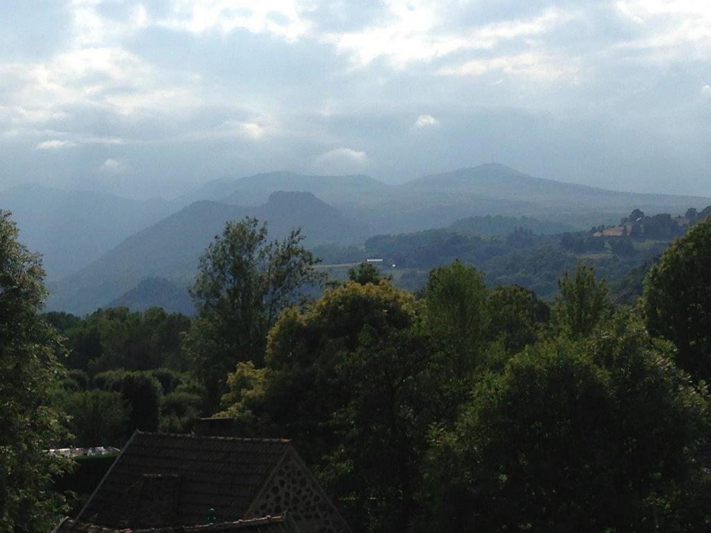 La Vue Sur Le Paradis Chambon-sur-Lac Kamer foto